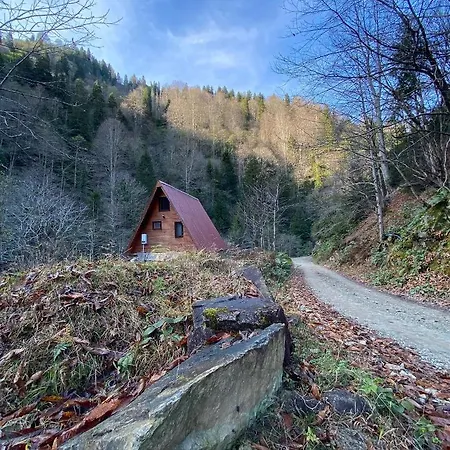 Mountain House - * Cayeli