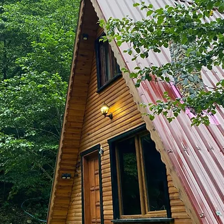 Mountain House - Frühstückspension